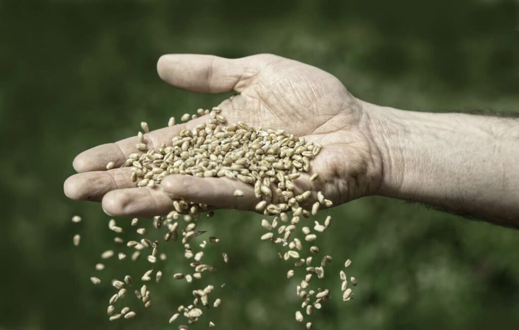 grain trading software